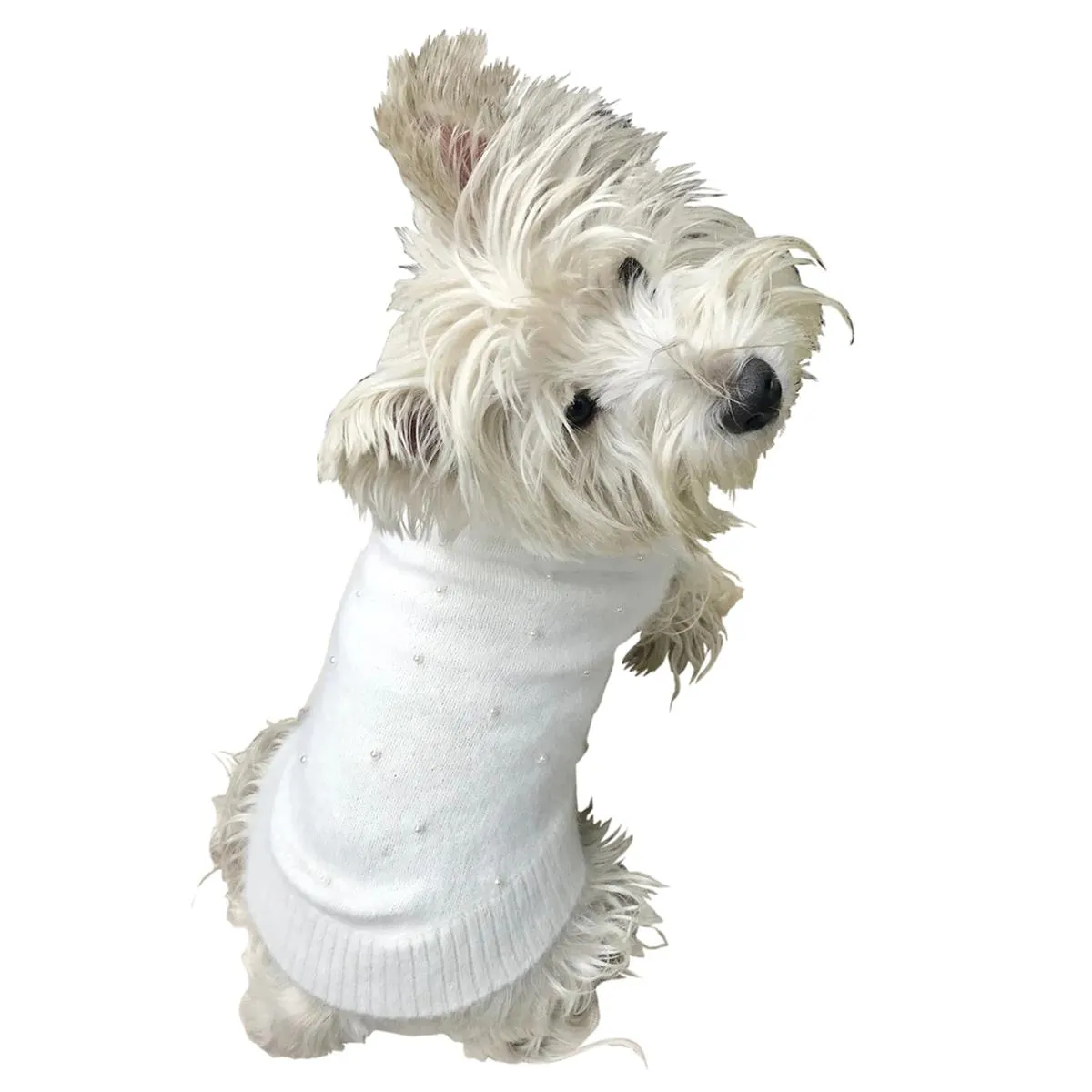 Pearly Girl Turtleneck Dog Sweater Ivory